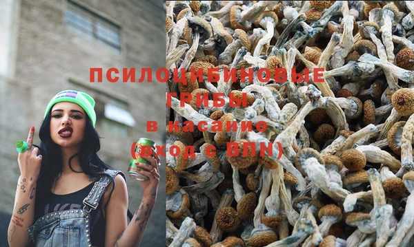 MDMA Premium VHQ Алзамай