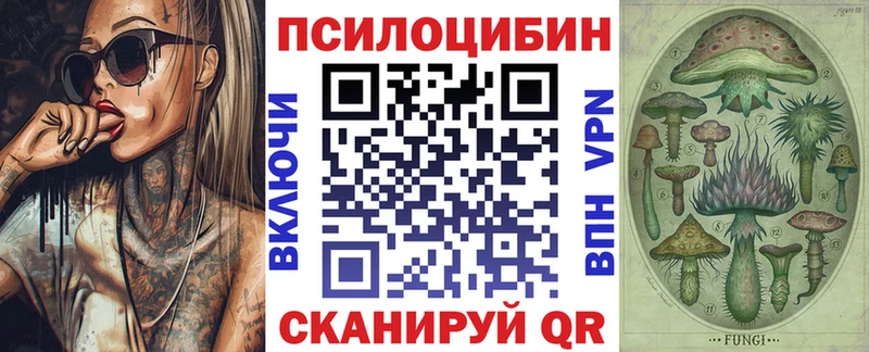 Псилоцибиновые грибы Psilocybe  купить наркотик  Ликино-Дулёво 